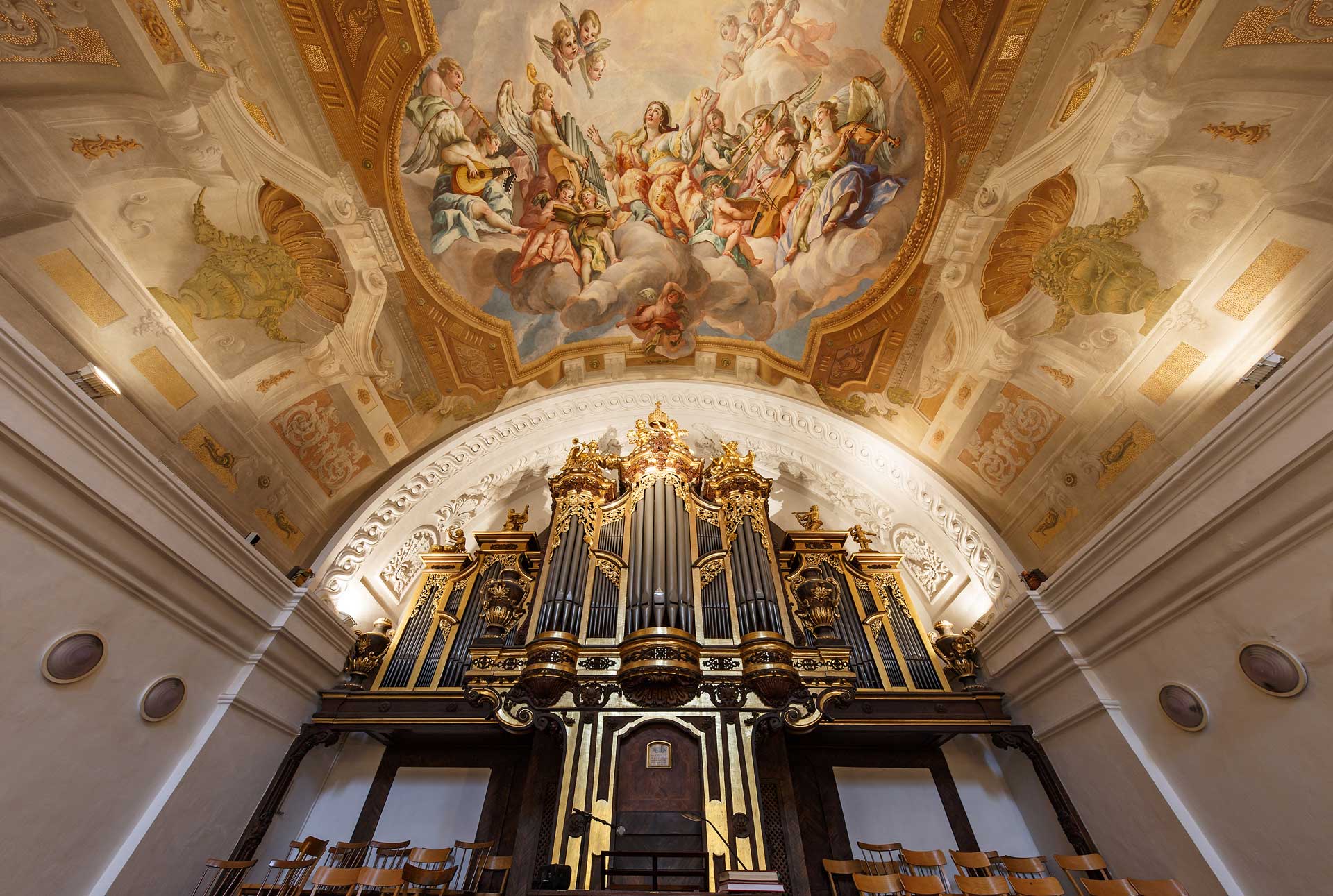 Organ